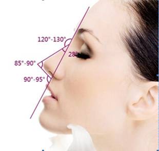 鼻子,东方美鼻,标准,吉林铭医