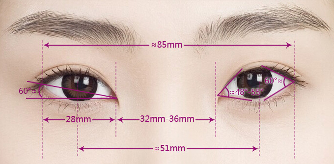 眼部,黄金,比例,长春好的整形医院