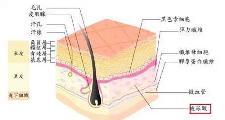 隆鼻材料,玻尿酸,长春好的整形医院